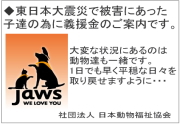 ◆東日本大震災で被害にあった子達の為に義援金のご案内です。◆社団法人 日本動物福祉協会